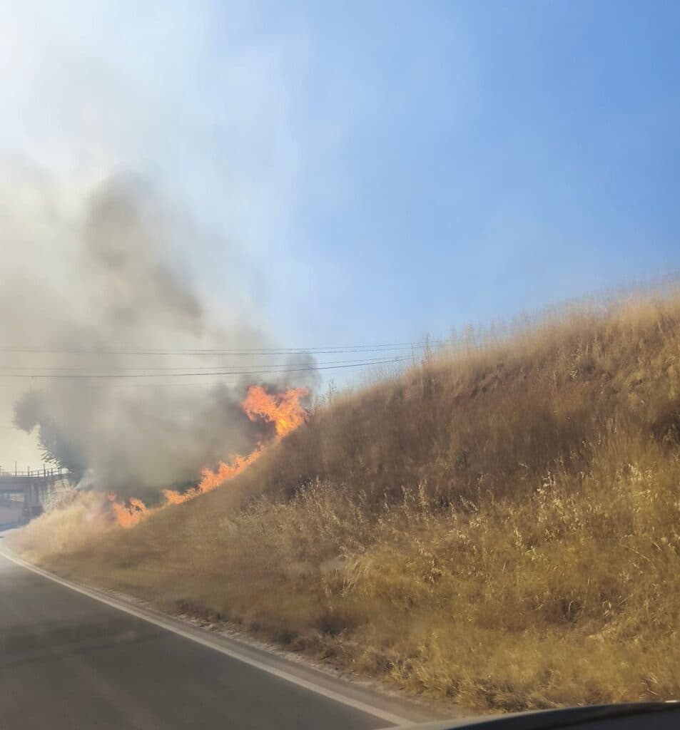 Un incendio de pastos moviliza a los servicios de emergencia en la carretera de Cordobilla