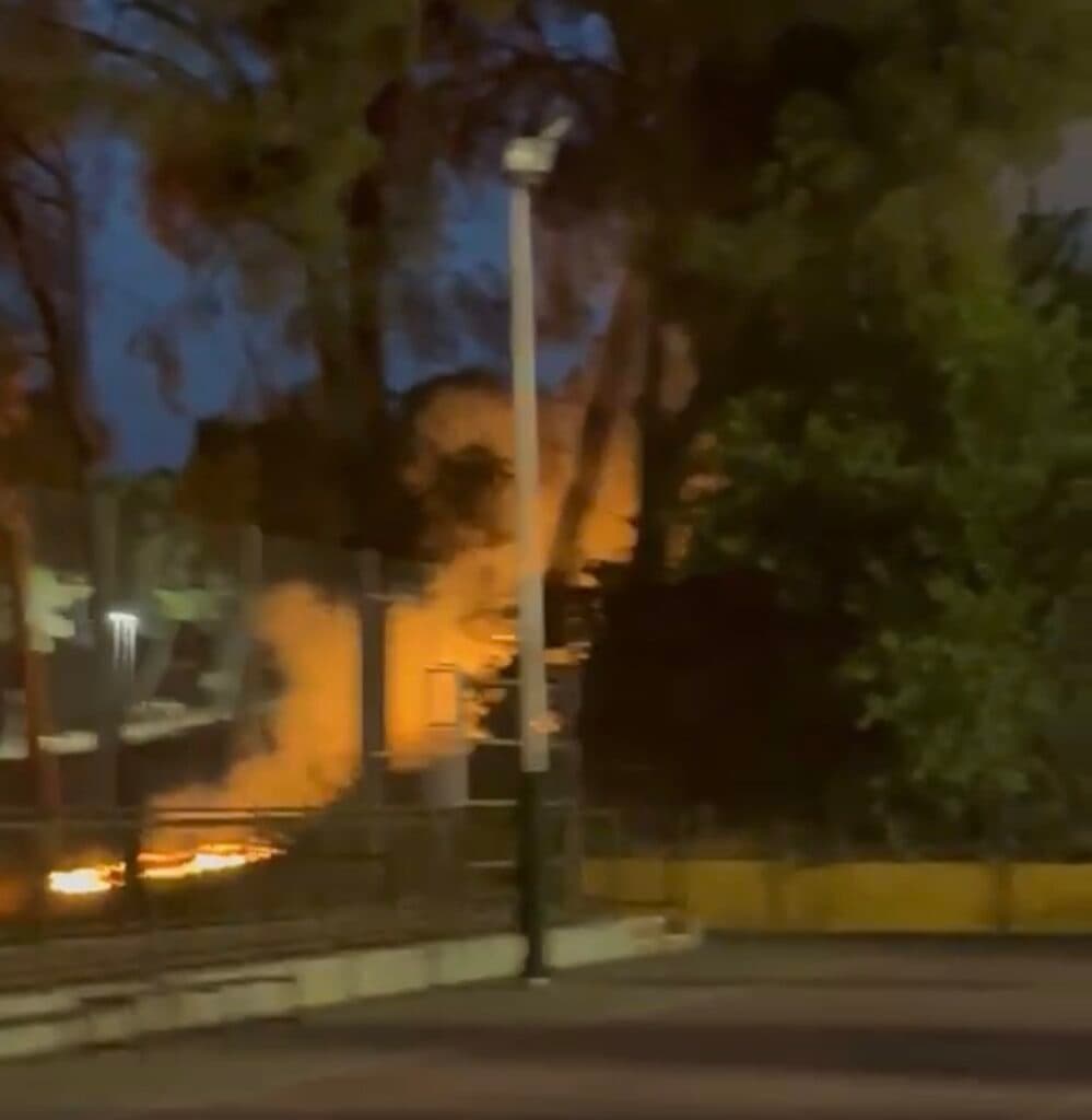 Arden varios árboles en la zona del Pinar de San Rafael de Puente Genil